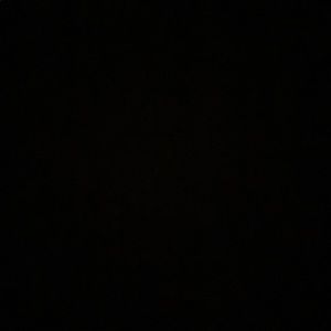 Meet your Posher, Callie